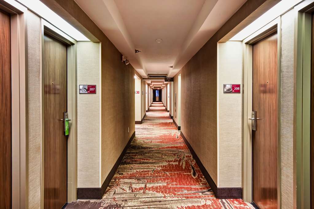 Hampton Inn Starkville Interiør bilde